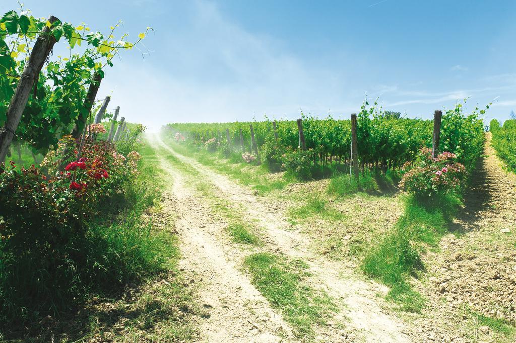 Roccafiore Wine Resort & Spa Todi Kültér fotó
