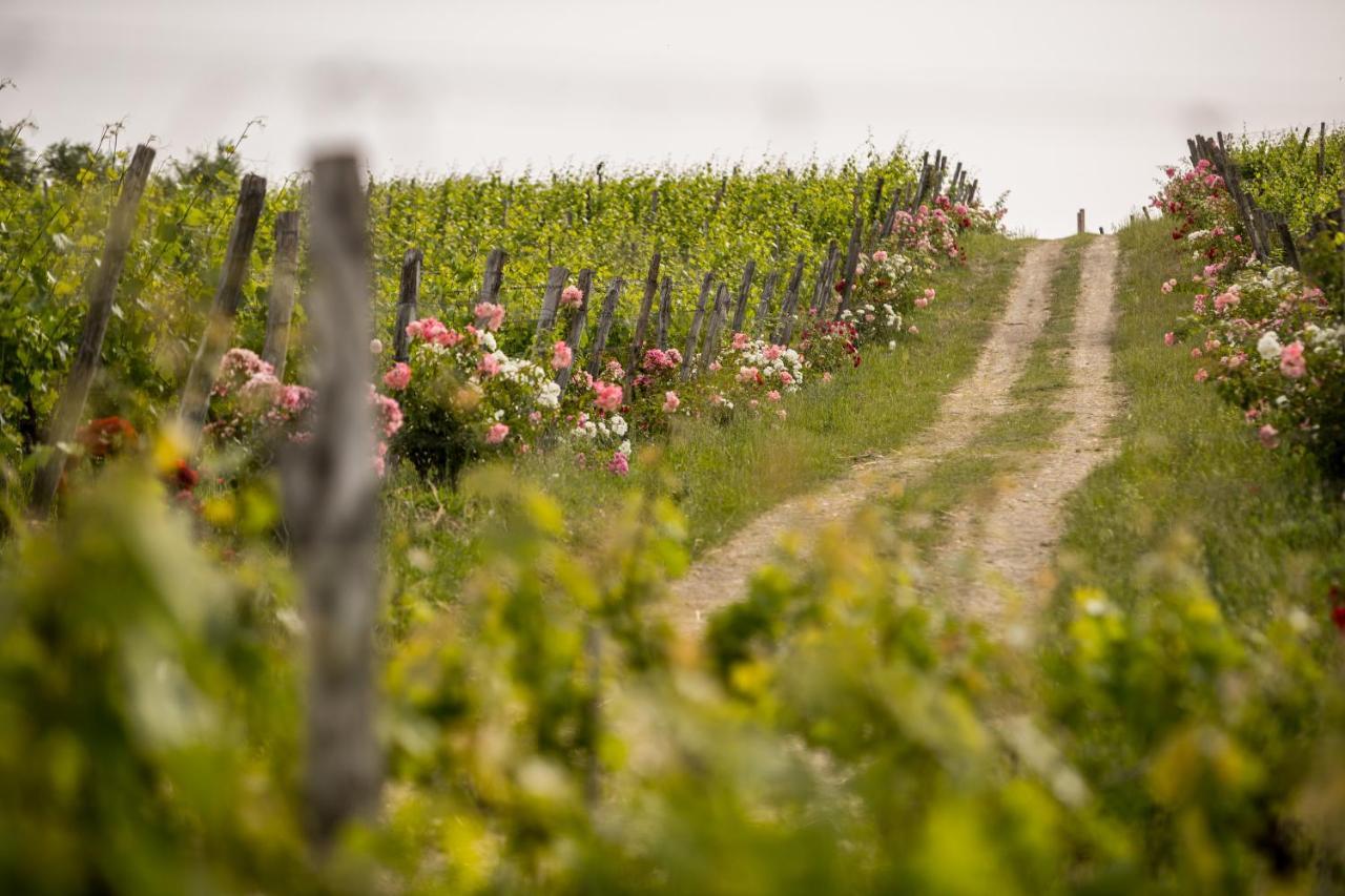 Roccafiore Wine Resort & Spa Todi Kültér fotó