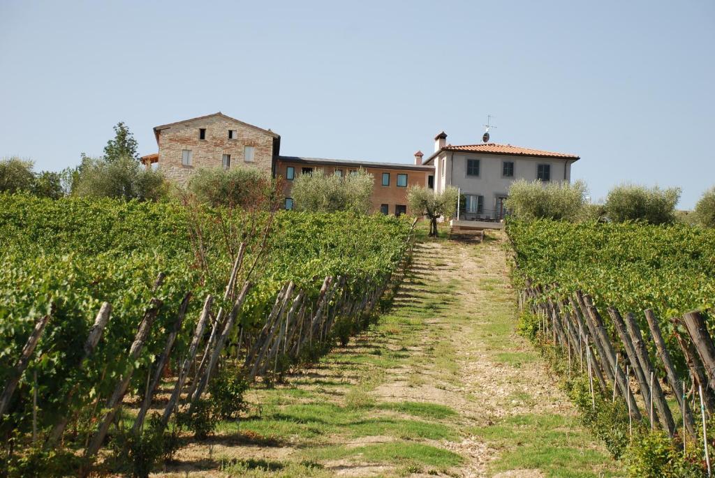 Roccafiore Wine Resort & Spa Todi Kültér fotó